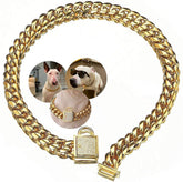 AIYIDI Gold Dog Collar – 14mm Stainless Steel Cuban Chain with Zirconia Lock, 24-inch