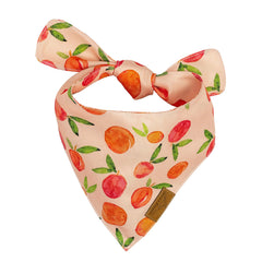 Remy+Roo Small Spring Dog Bandanas - 4 Pack Katherine Set | Premium Durable Adjustable Polyester Fabric Dog Scarfs | Patented Shape Girl Dog Bandana, Trendy Patterns, Floral Dog Bandana