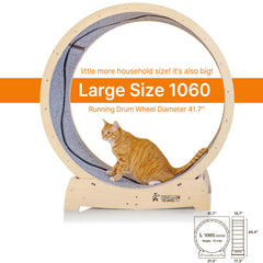 Star Cat Wheel, Cat Treadmill, Exercise Wheel for Running, Spinning, Scratching, and Climbing for Indoor Cats, Premium Birch Wood, Eco-Friendly, Moving Fish, Wide Running Track, 41.7 inch L Size