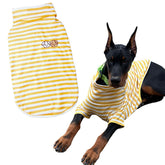 imdoubledou turtleneck dog shirt front view on yellow stripes for cozy warmth