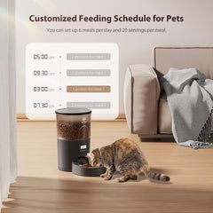 IMIPAW automatic cat feeder in action dispensing portions for mealtime.