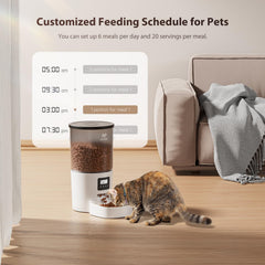 IMIPAW feeder LCD screen enabling simple, quick setup for busy owners