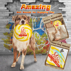 IMMADBUNY flying-disc promotes vigorous outdoor fetch and energetic play.