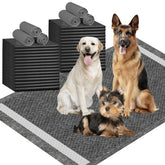 IMMCUTE XXL puppy pads show giant size for large dogs