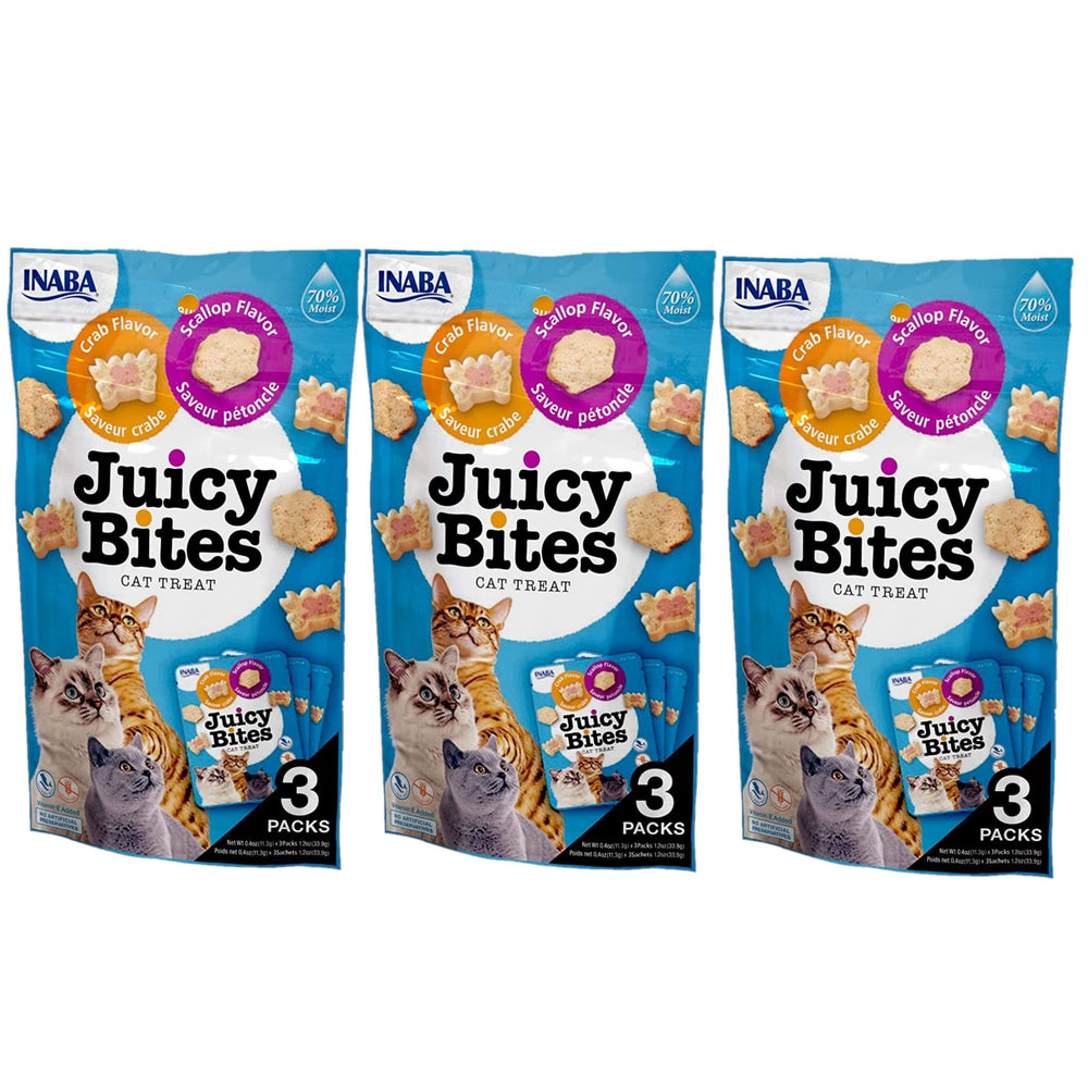 INABA Juicy Bites pouch close-up showing grain-free moist cat treats for healthy snacking
