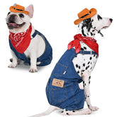 Inanil dog denim overalls set with cowboy hat and bandana for a complete western look.