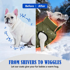 Inanil dog winter puffer olive back view with reflective strips for safety
