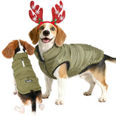 inanil dog winter puffer olive front view highlighting compact warmth for small to medium dogs