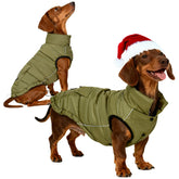 Inanil dog winter puffer jacket front view shows snug fit for cold walks