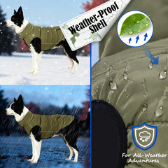 Inanil fleece-lined dog jacket delivers warmth and cozy comfort for chilly days