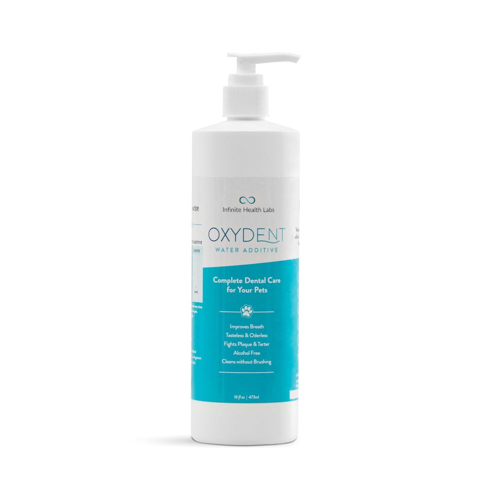 Infinite Health Labs Oxydent bottle in a pet water bowl for daily fresh breath.