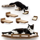 INICIO cat wall shelves modern birch perch offers a sturdy resting spot for cats.