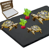 INOSCIND extra-large reptile slate basking platform highlights heat retention for larger reptiles.