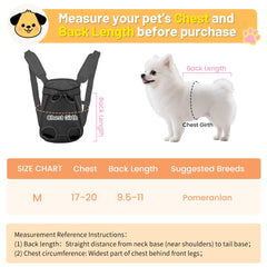 Inspack dog backpack back view—hands-free design for scenic hikes.