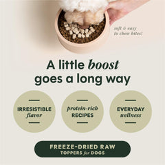 Instinct Raw Boost Mixers ingredients panel highlights grain-free beef, fruits, and veggies