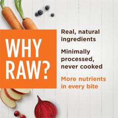 Instinct Raw Boost Shakers chicken-kibble-topping demonstrates a simple sprinkle to boost meals.