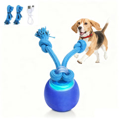 Interactive dog ball front view for engaging, energy-burning play and curiosity.