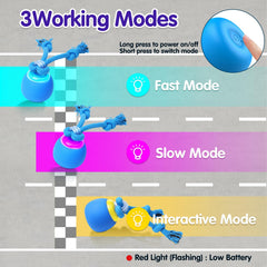 Interactive dog ball rolling action supports chase play and exercise.