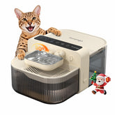 Invengo no-filter wireless cat fountain front view for easy daily hydration