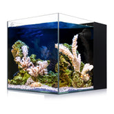 IOAOI Coralland 8-Gallon aquarium crystal-clear front view highlights vivid marine life