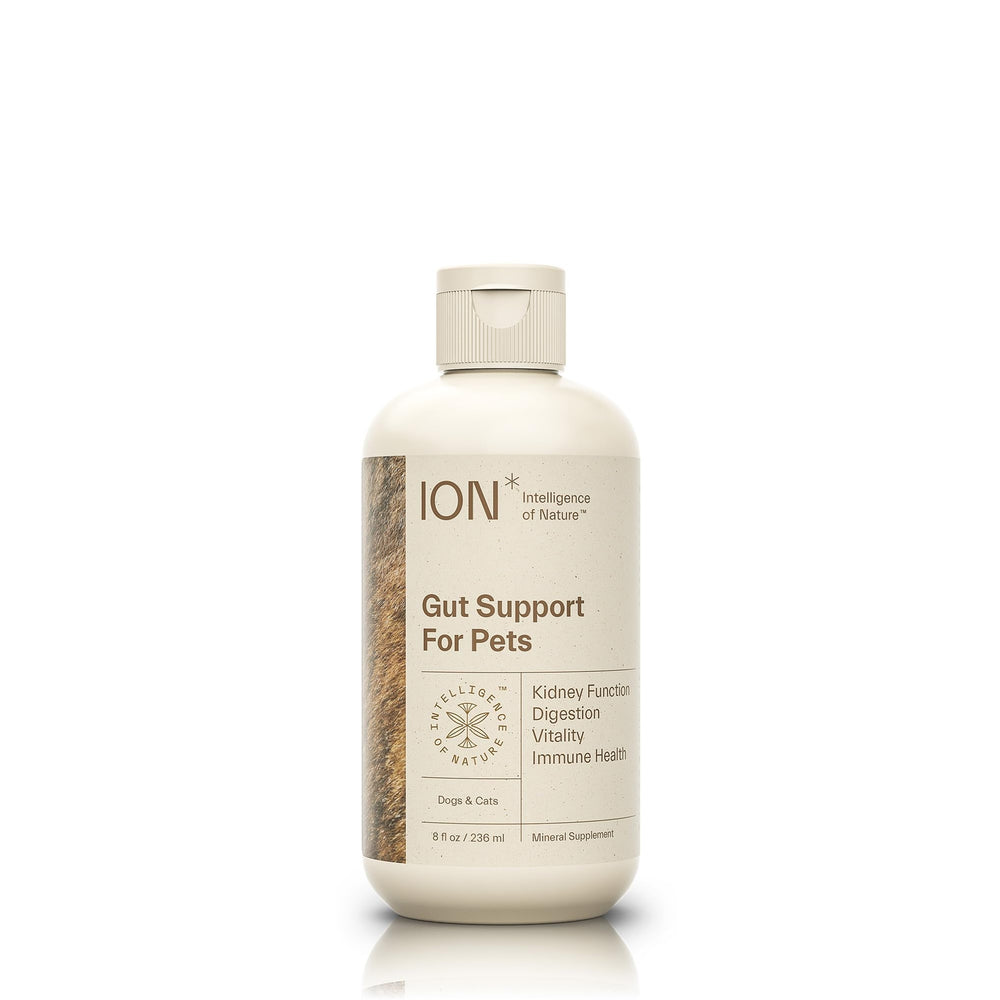 ION Vital Immunity Drink Mix elderberry packet close-up for travel-friendly flavor.