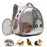 ioview portable pet backpack with bubble window provides visibility during travel.