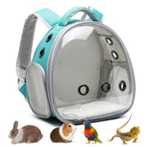 ioview portable travel pet backpack green view, spacious interior for small animals during outings.