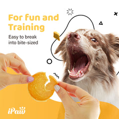 iPaw chips pavo sin granos, opción hipoalergénica para estómagos sensibles.