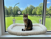 iPengYer window-perch-bouncy-ball offers a sunny nap zone with playful stimulation.