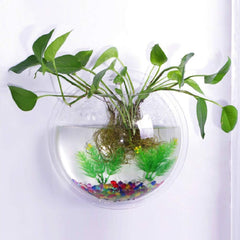 iplusmile small-fish-and-plants tank enables cozy habitat with live plants and tiny fish.