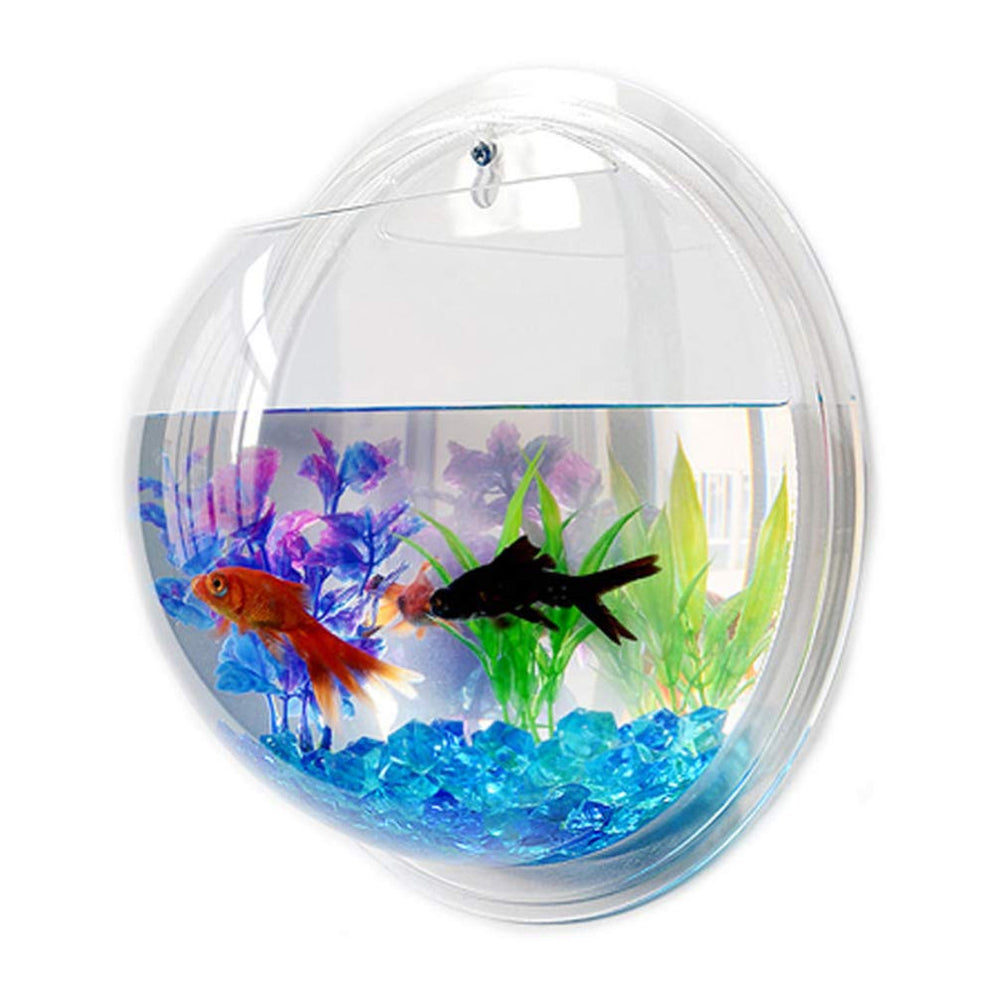 iplusmile wall-mounted fish bowl 7inch semicircular acrylic enhances modern decor and plant display