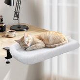 IPOW cat desk bed front view shows sturdy steel frame with up to 50 lb support