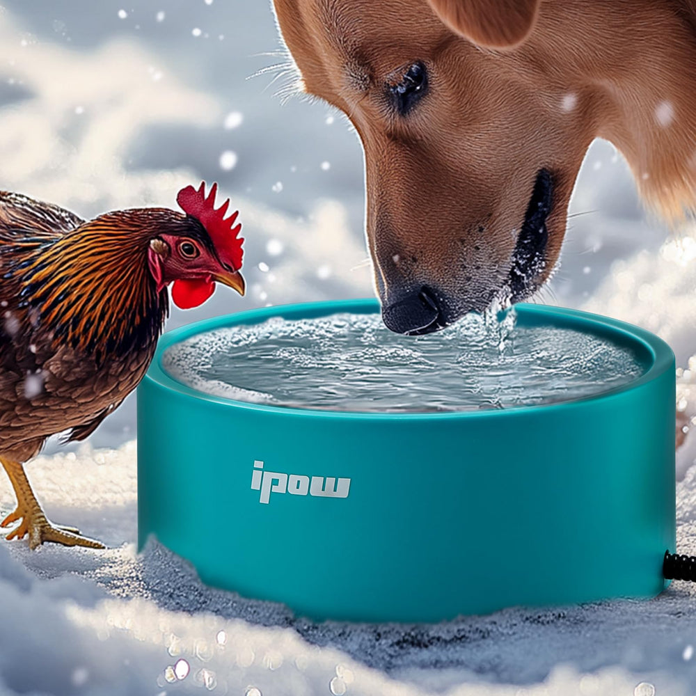 IPOW Pet Heated Bowl 3.2L capacity for all-day hydration.