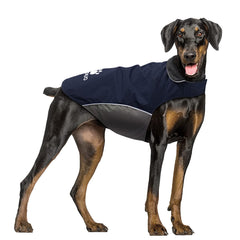 IREENUO dog raincoat with waterproof fabric keeps dogs dry in rain