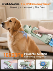 itutn 2in1 pet grooming brush suction demonstrating dual action cleaning