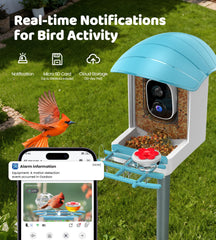 IUUZEUL 2K bird feed hopper shows vibrant plumage for ID.