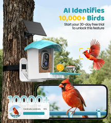 IUUZEUL wide-angle 140° view frames busy bird activity clearly.