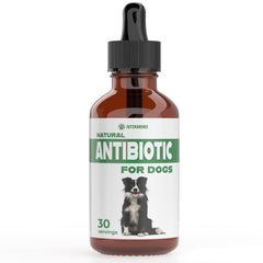 iVitamins natural dog antibiotics bottle shows bacon flavor for gentle immune support