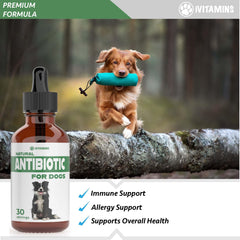 iVitamins natural dog antibiotics added to food for convenient administration