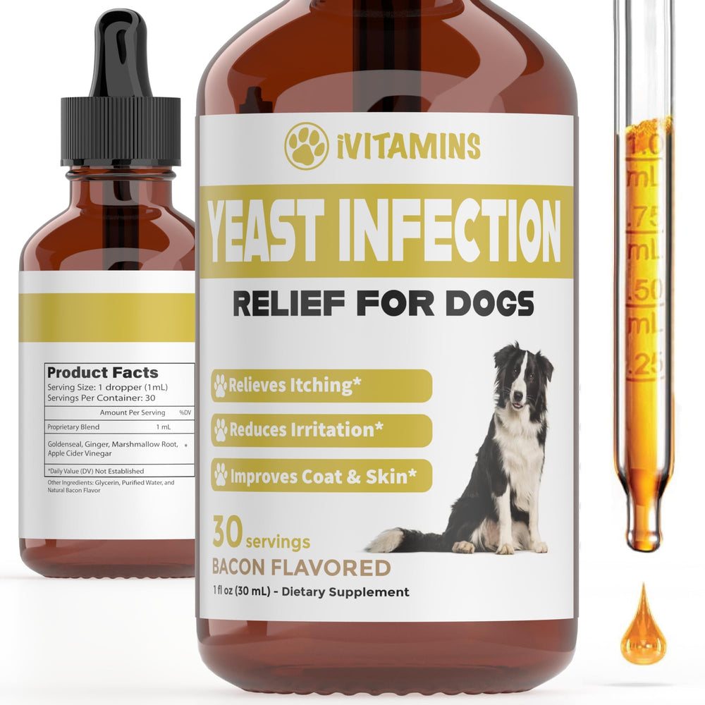 iVitamins natural yeast dog drops bottle for easy daily health support