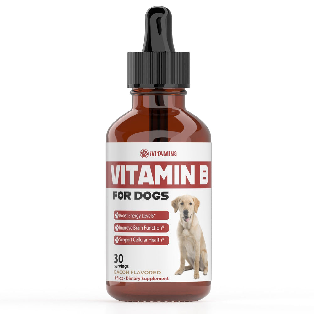 iVitamins Vitamin B for Dogs bacon-flavor bottle shows energy support