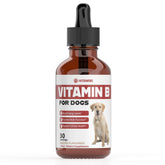 iVitamins Vitamin B for Dogs bacon-flavor bottle shows energy support
