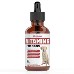 iVitamins Vitamin B for Dogs bacon-flavor bottle shows energy support