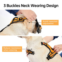 IVY&LANE orange harness highlights sturdy alloy clips and secure connection.