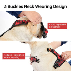 IVY&LANE Harness side view highlighting reflective safety for night walks.