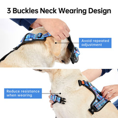 IVY&LANE Harness with reflective strips for night visibility