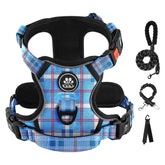 IVY&LANE No Pull Harness on small dog with front clip for controlled walks