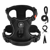 IVY&LANE No Pull harness small-dog neck-buckle easy-on/off.