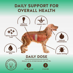Jack&Pup Aller-Care ingredients like quercetin and bromelain support immune comfort.