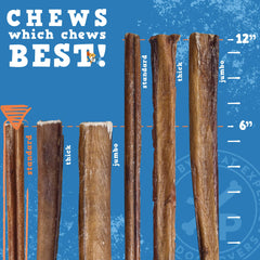 Jack&Pup beef pizzle close-up texture highlighting natural protein and chew appeal.